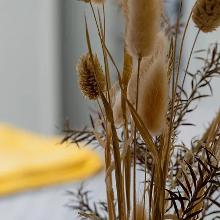 L'herbaudiere - Les Pins 度假居 La Baule