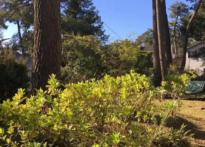 L'herbaudiere - Les Pins La Baule