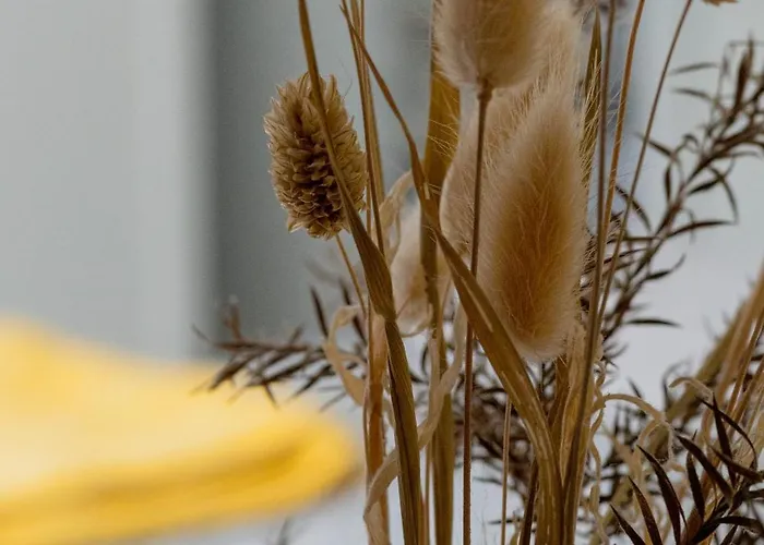 L'herbaudiere - Les Pins بيت للعطل La Baule