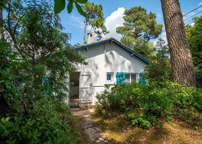 Σπίτι διακοπών L'herbaudiere - Les Pins