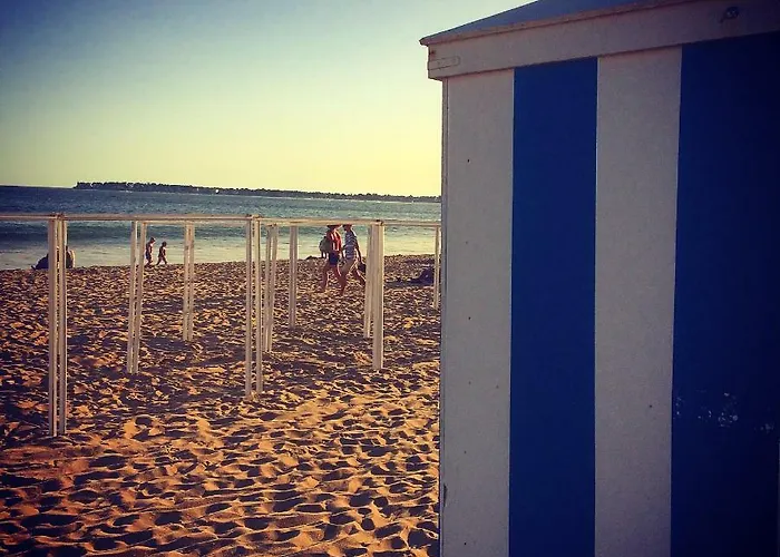 L'herbaudiere - Les Pins * La Baule